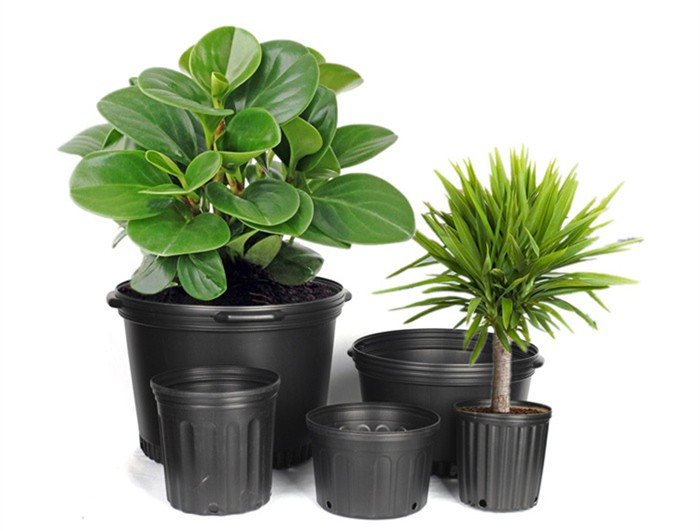 product-700-531 product-700-531