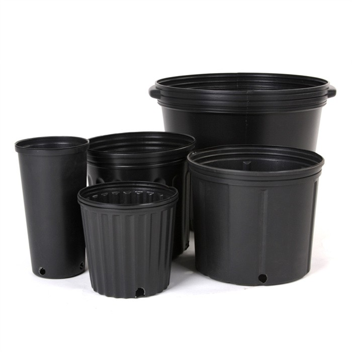 2 Gallon Planter Bucket06 2 Gallon Planter Bucket06