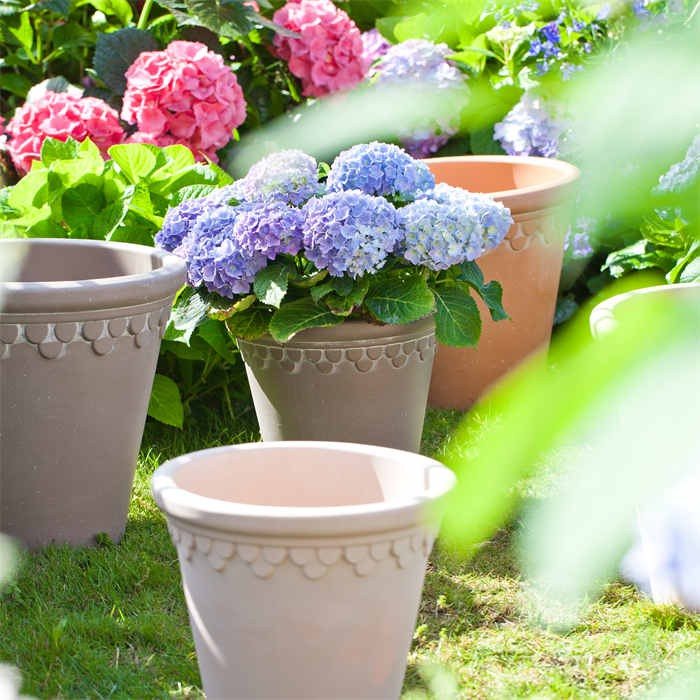 12 Flower Pot Plastic05 12 Flower Pot Plastic05