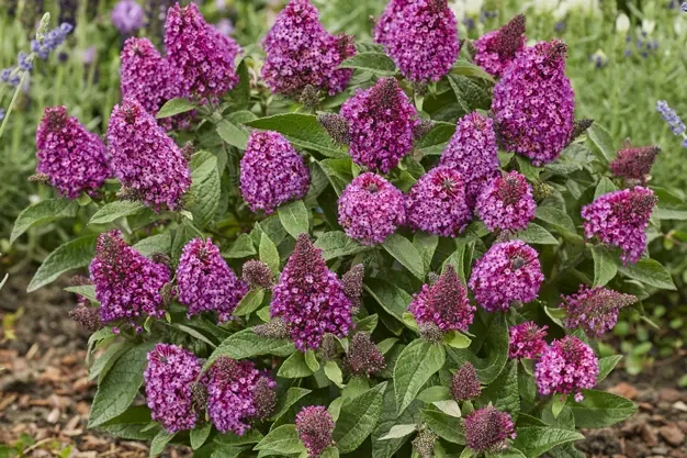 8 8