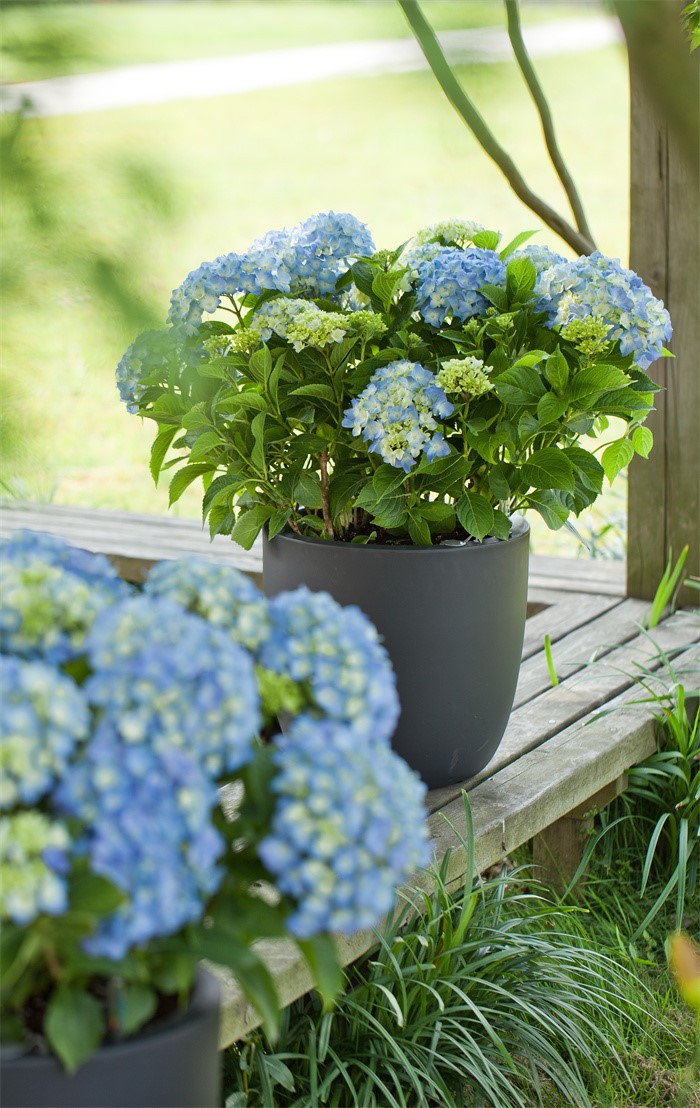 target self watering pot05 target self watering pot05