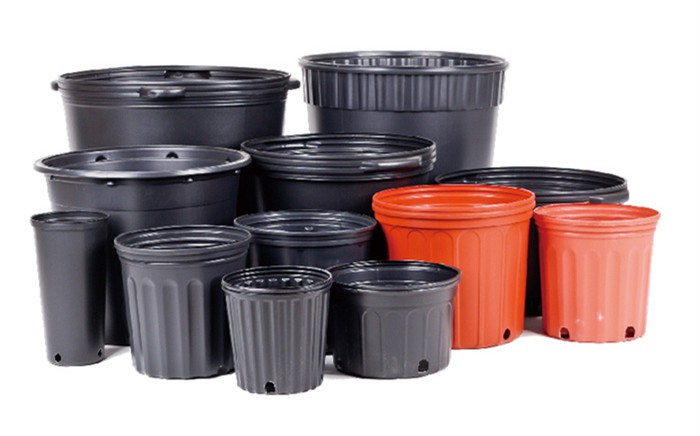 product-700-436 product-700-436