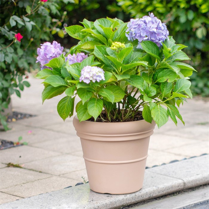 plastic planters wholesale05 plastic planters wholesale05