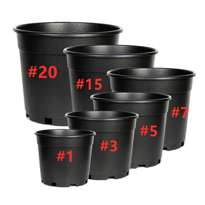 3 Gallon Nursery Pot For Sale06 3 Gallon Nursery Pot For Sale06