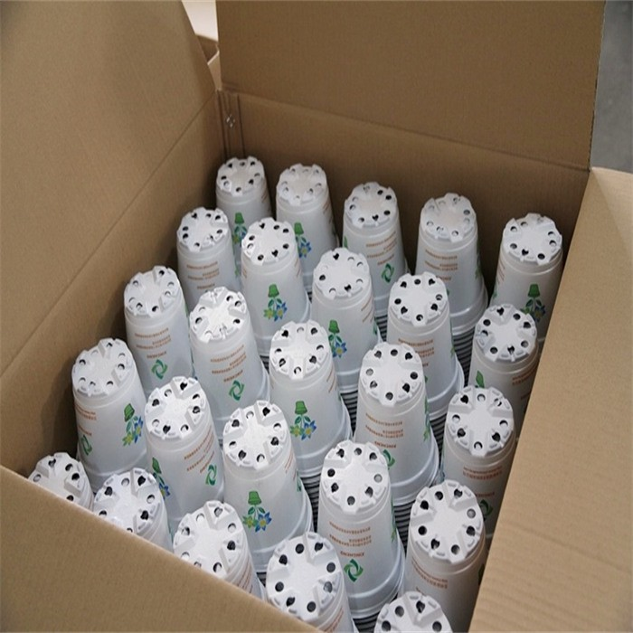 product-700-700 product-700-700