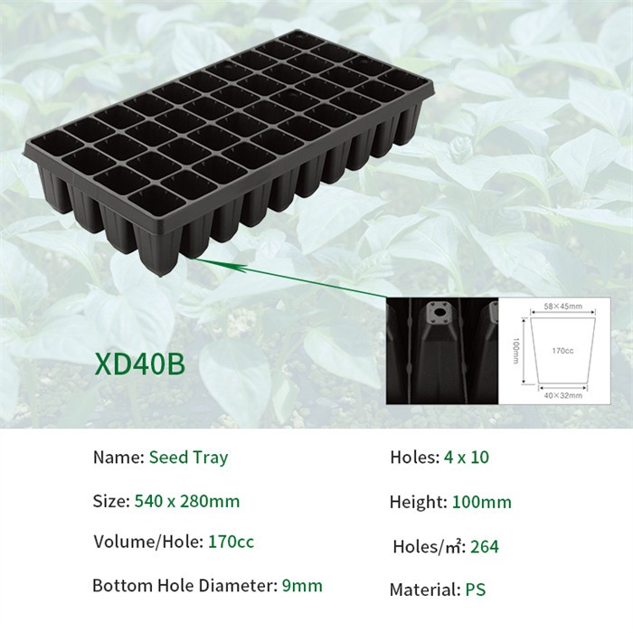 product-700-700 product-700-700