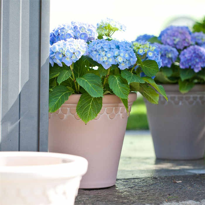 12 Flower Pot Plastic08 12 Flower Pot Plastic08