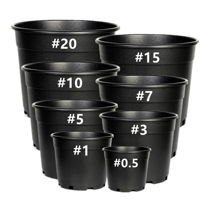 3 Gallon Nursery Pot For Sale05 3 Gallon Nursery Pot For Sale05