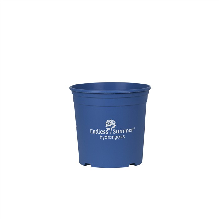 product-700-700 product-700-700