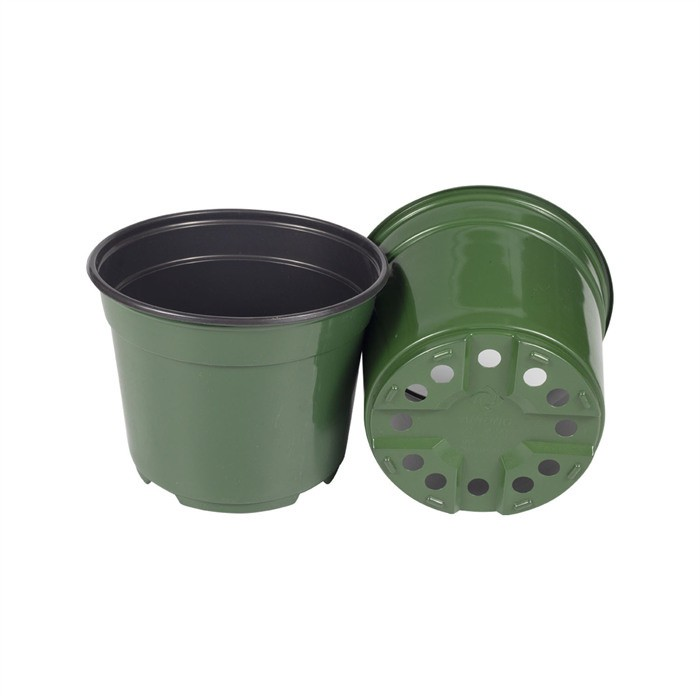 Blister Nursery Pot07 Blister Nursery Pot07