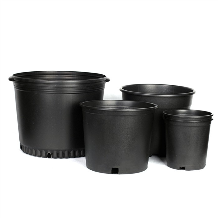15 Gallon Purfle Nursery Pot07 15 Gallon Purfle Nursery Pot07
