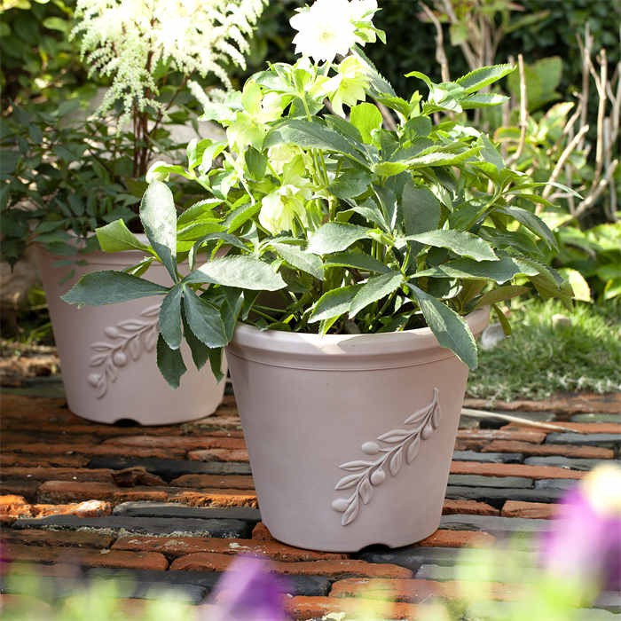 10 Plastic Planter07 10 Plastic Planter07