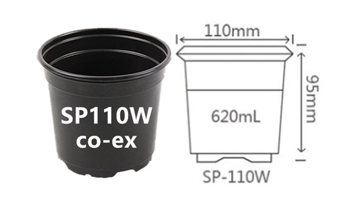 product-700-425 product-700-425