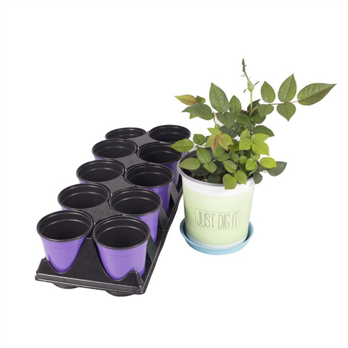 Thin seedling Pot08 Thin seedling Pot08