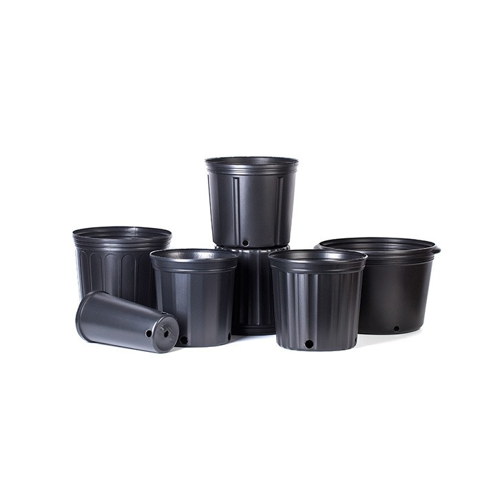 3 Gallon Short Nursery Pot For Sale05 3 Gallon Short Nursery Pot For Sale05