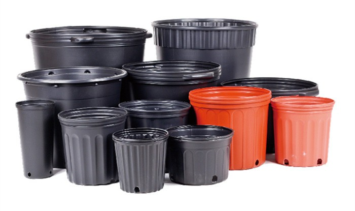 product-700-415 product-700-415