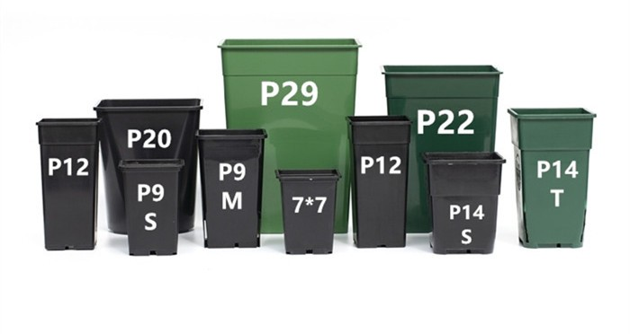 product-700-372 product-700-372
