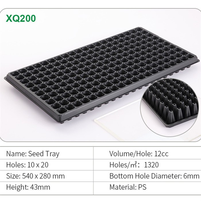 Seedling Tray 6 Cell02 Seedling Tray 6 Cell02