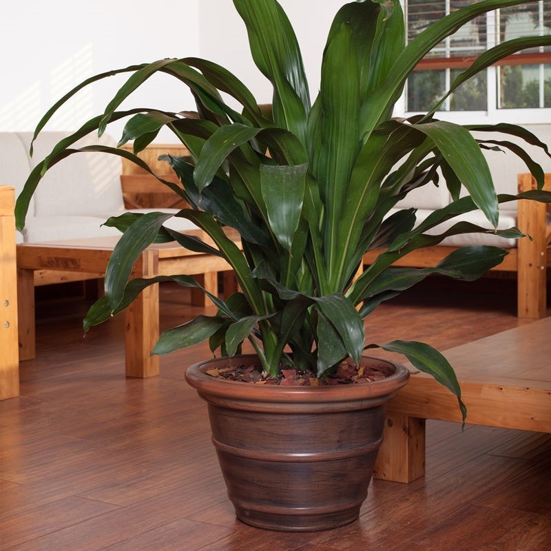 Glossy Plastic Planter