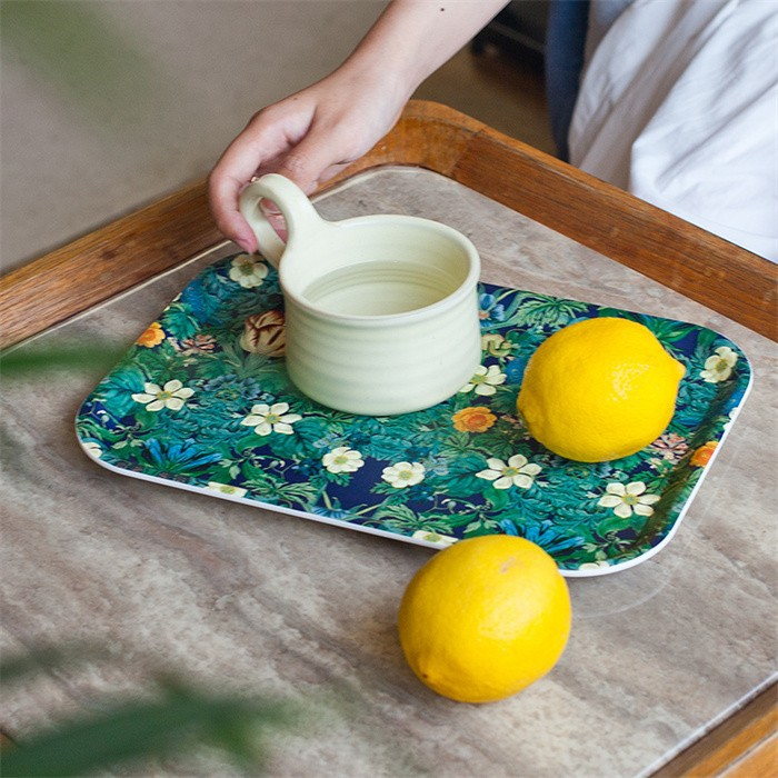 Food Tray Plastic
