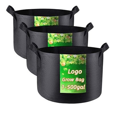 Can I Grow Herbs In A 30 Gallon Grow Bag?