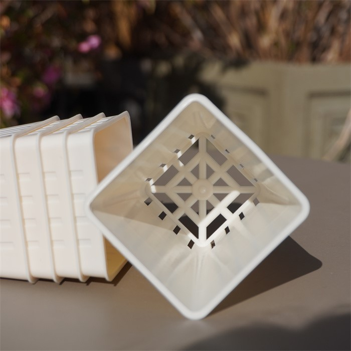 Square seedling cup06