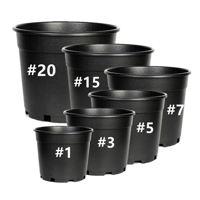 2 Gallon Nursery Pot For Sale07
