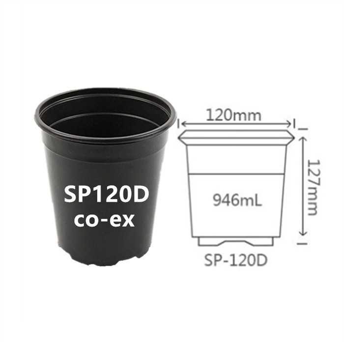 6" Co Ex Pot