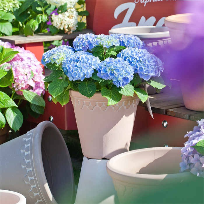 Ceramic Flower Pot
