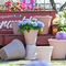 12 Flower Pot Plastic
