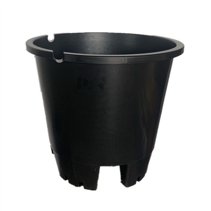 Nursery Planter For Blueberry06
