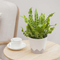 Mini Geometric Pot For Tabletop