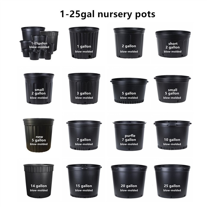 product-700-700