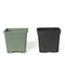 Plastic 12 Square Blueberry Pot