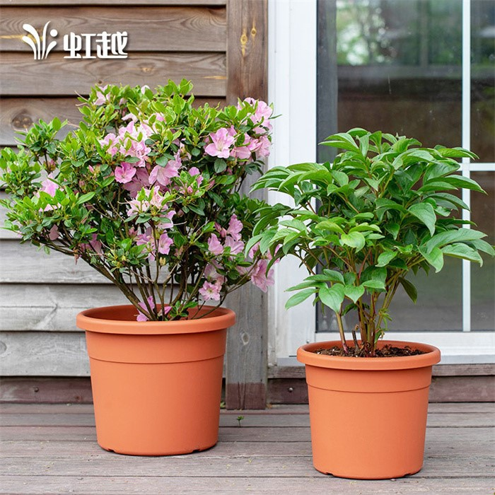 product-700-700