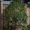 16" Glazed Plastic Planter