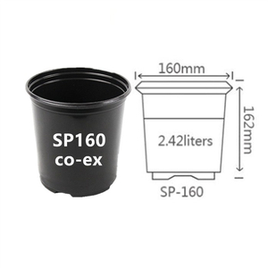 Blister Round Pot