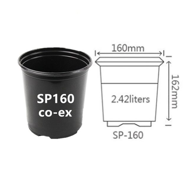 Blister Round Pot