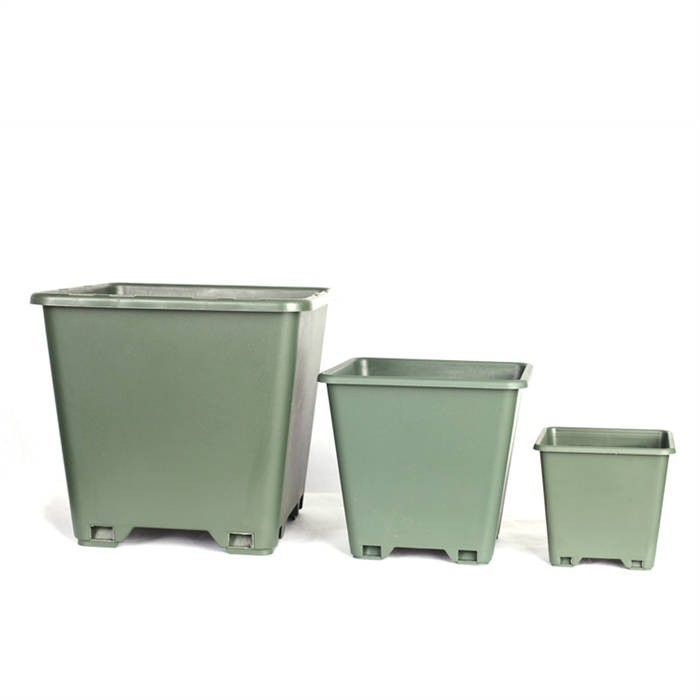 8 Square Blueberry Planter