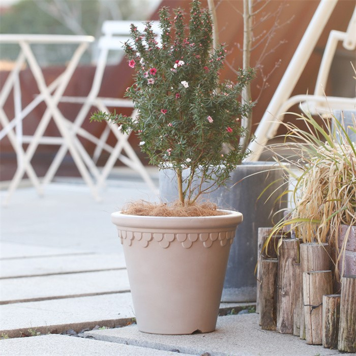 pink plastic flower pot06