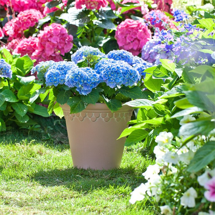 wholesale planter plastic flower pot06