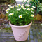 Round Planting Pots
