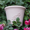 Upside Down Plant Pot