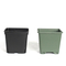 Specific Square Blueberry Planter