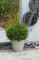 Planters With Spiral Motifs