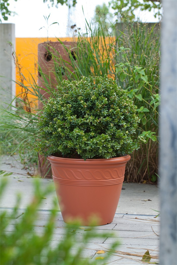 Large Spiral Pattern Flower Pots