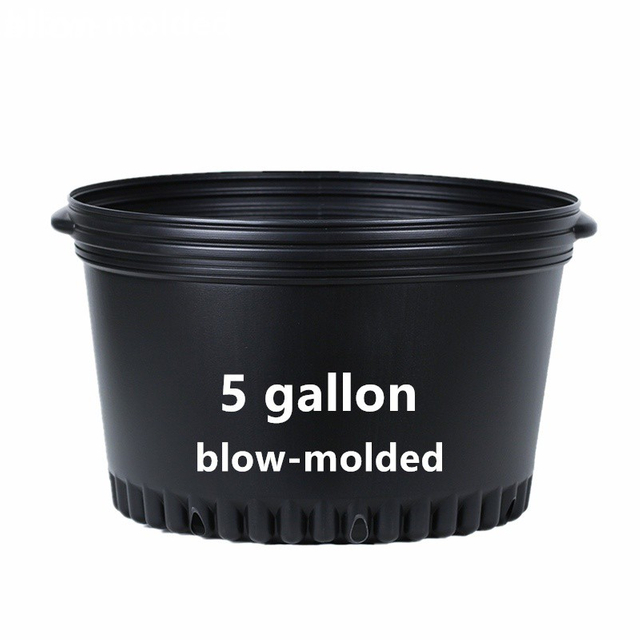 Bulk 5 Gallon Pots For Nurseries