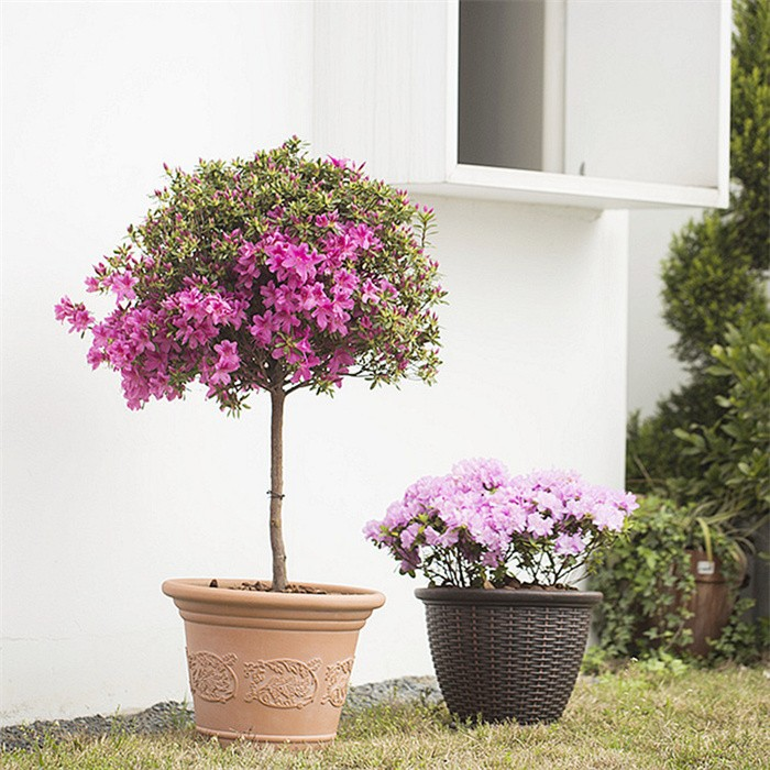 Long Flower Pot Rattan