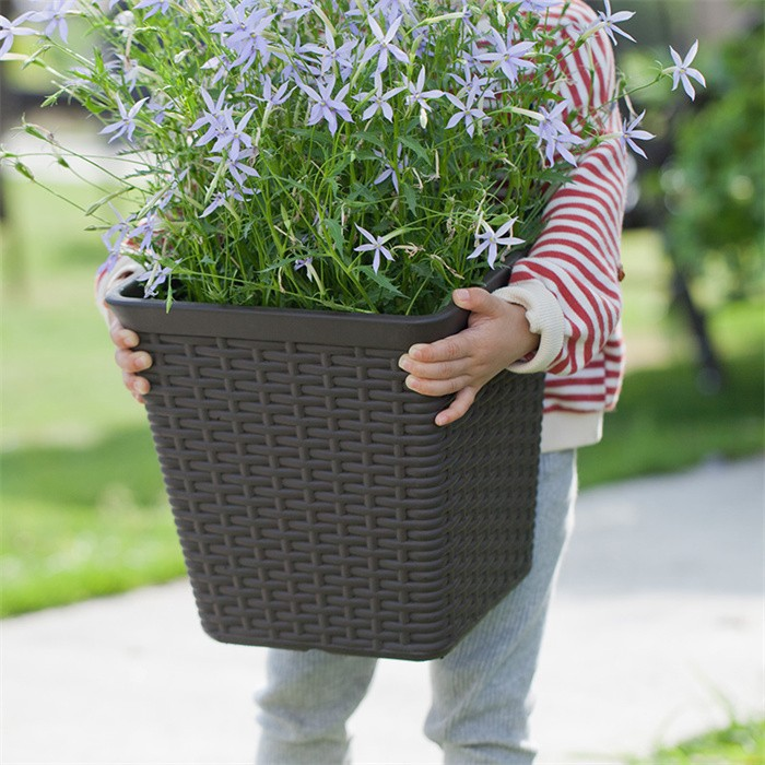 Large Wicker Planter Trough
