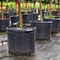 1 Gallon Plastic Plant Pot